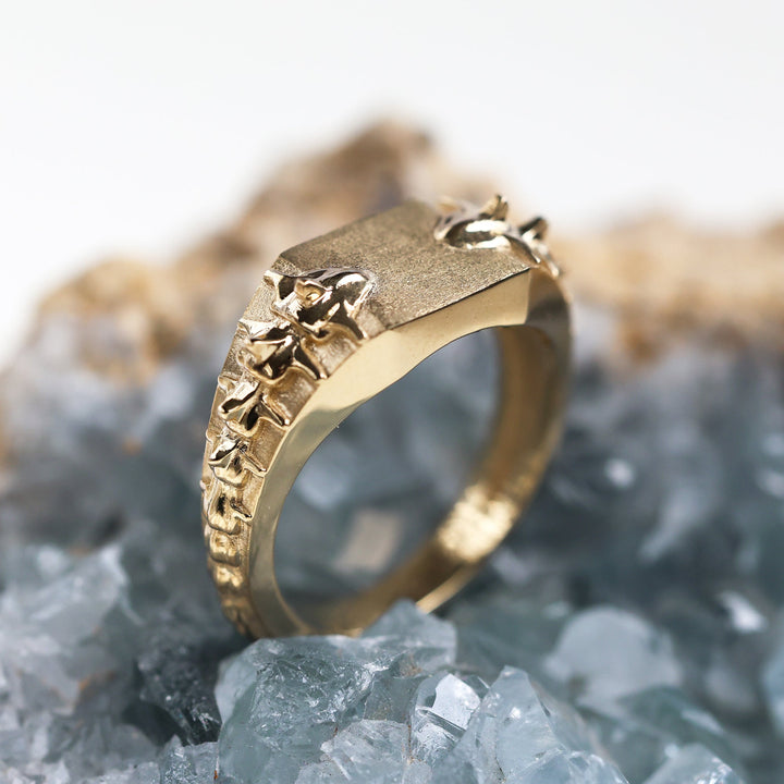 Orson Echelon Serpent Oval Wide Signet Ring – Mens Ring | Capucinne Orson Echelon Serpent Oval Wide Signet Ring – Mens Ring | Capucinne